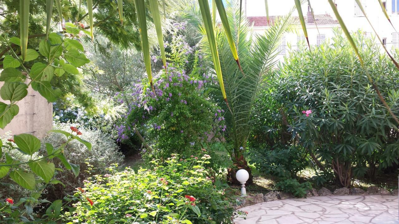 Central Avec Jardin Cannes Ngoại thất bức ảnh